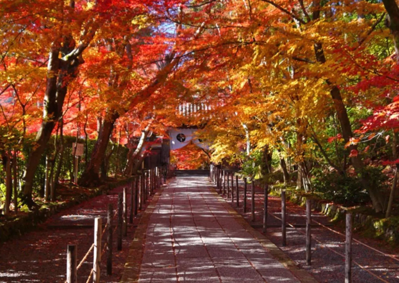 Kyoto Yamashina Hotel Sanraku 4*,